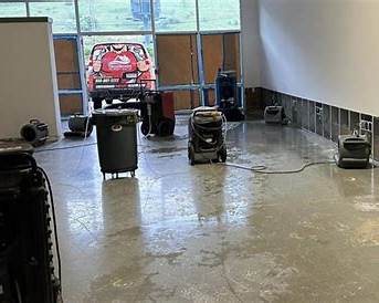 Mold remediation and prevention in Bellingham